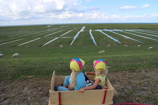 爱体育娱乐入口-青少年足球训练方法现代化，青少年足球技术